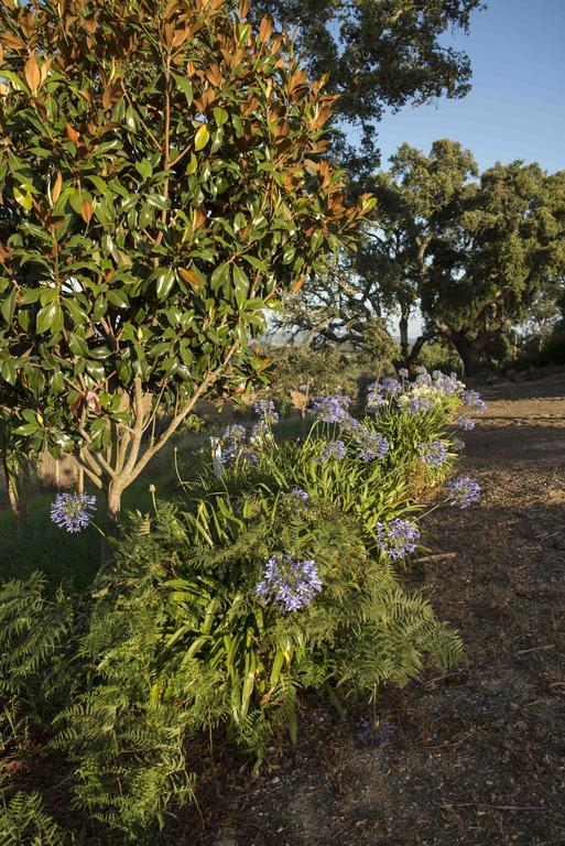 Monte Pedras Negras ξενώνας Sao Luis Εξωτερικό φωτογραφία