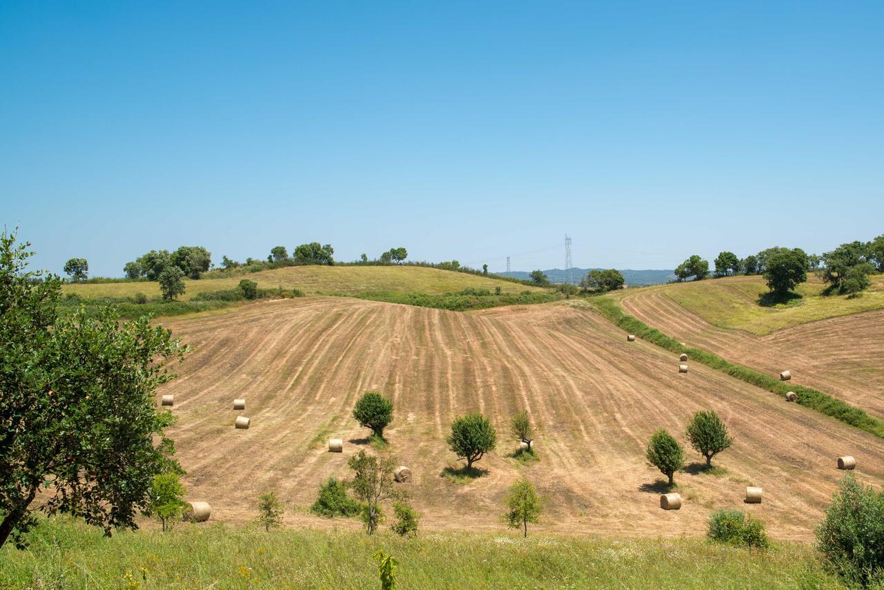 Monte Pedras Negras ξενώνας Sao Luis Εξωτερικό φωτογραφία